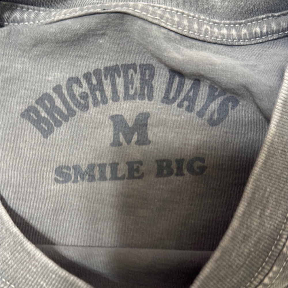 WASHED Gray T-Shirt by Brighter Days Size M New without tag. - Picture 2 of 5